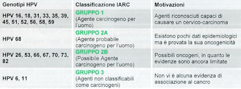 papilloma virus ceppo 16)